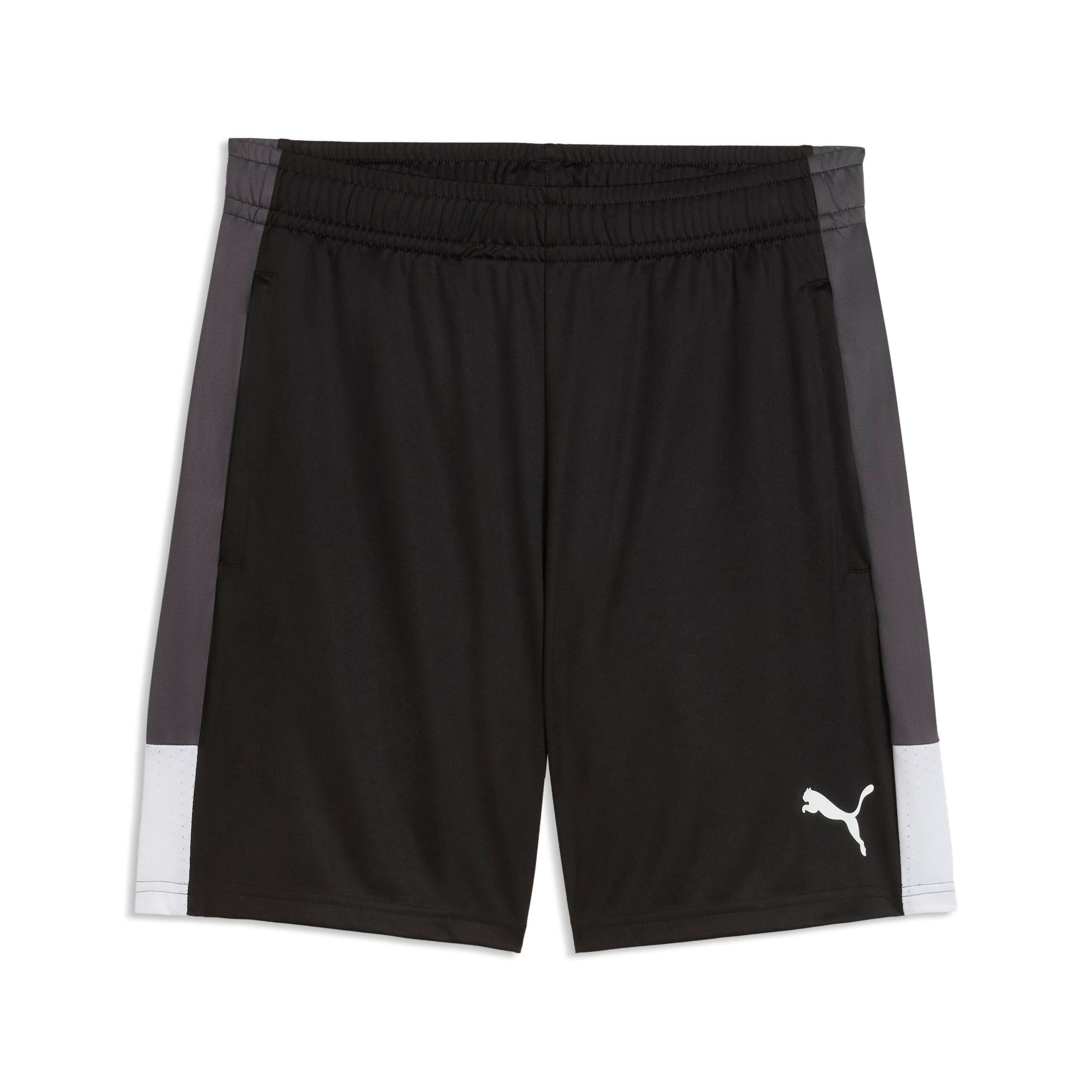 PUMA Men's LIGA Training Shorts