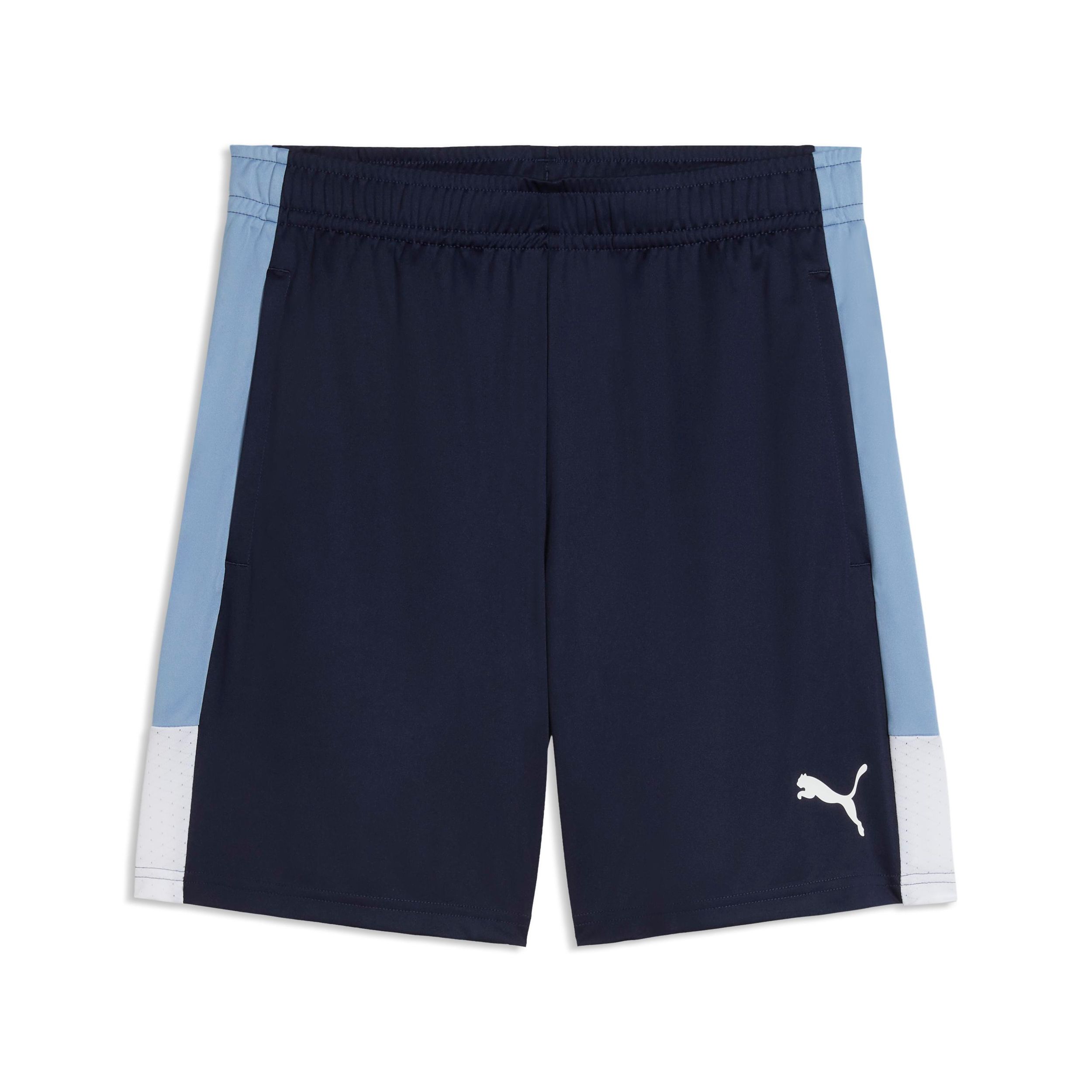 PUMA Men's LIGA Training Shorts