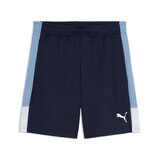 PUMA Men's LIGA Training Shorts