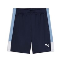 Puma Men's Liga Training Shorts