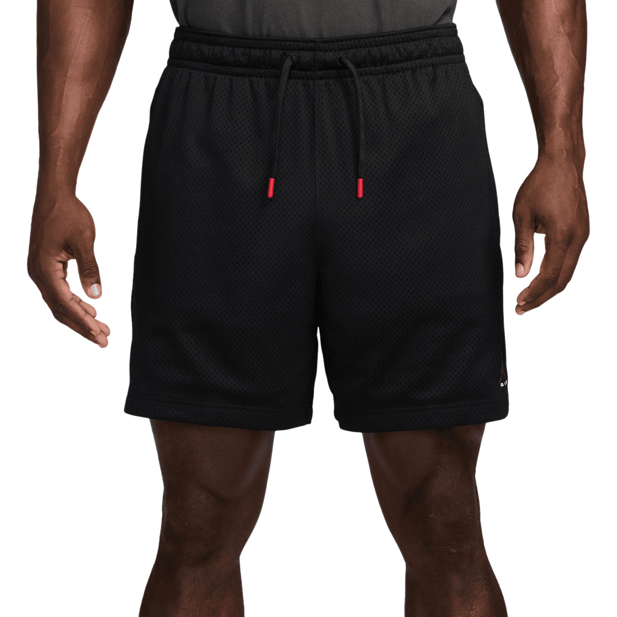 Jordan Men's MJ Brooklyn Champions Shorts