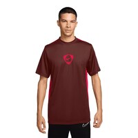 Nike Men's Dri-FIT Academy+ Soccer Short Sleeve T-Shirt