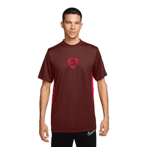 Nike Men's Dri-FIT Academy+ Soccer Short Sleeve T-Shirt
