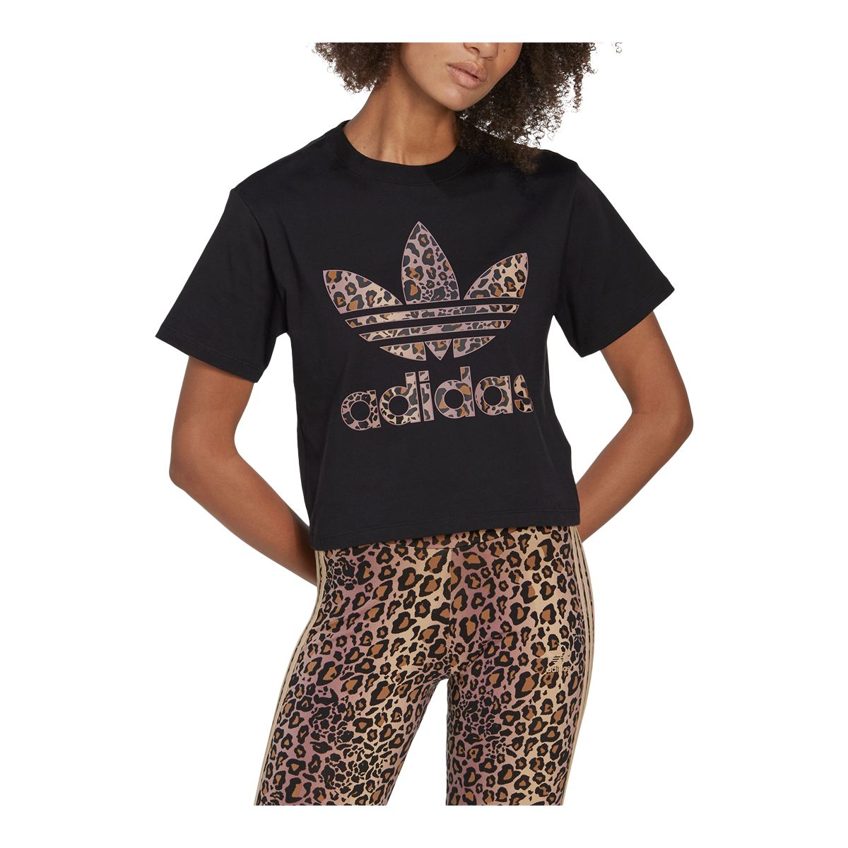 adidas Originals Women's Leopard Cotton Jersey T Shirt
