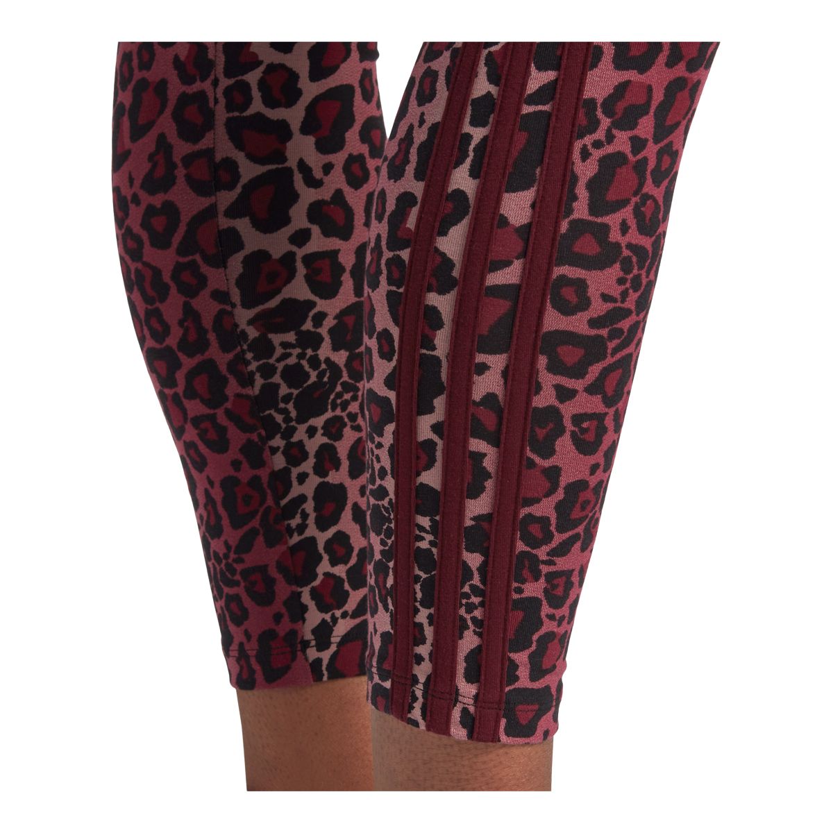 adidas Originals Women's Leopard Tights