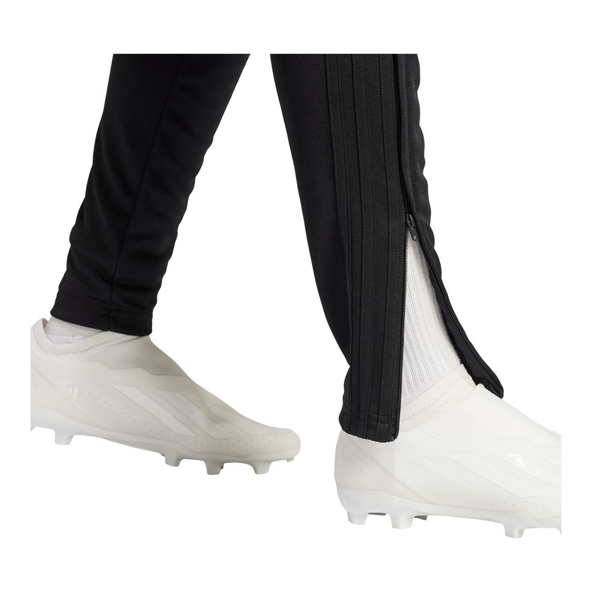 adidas Women's Tiro 24 Track Pant