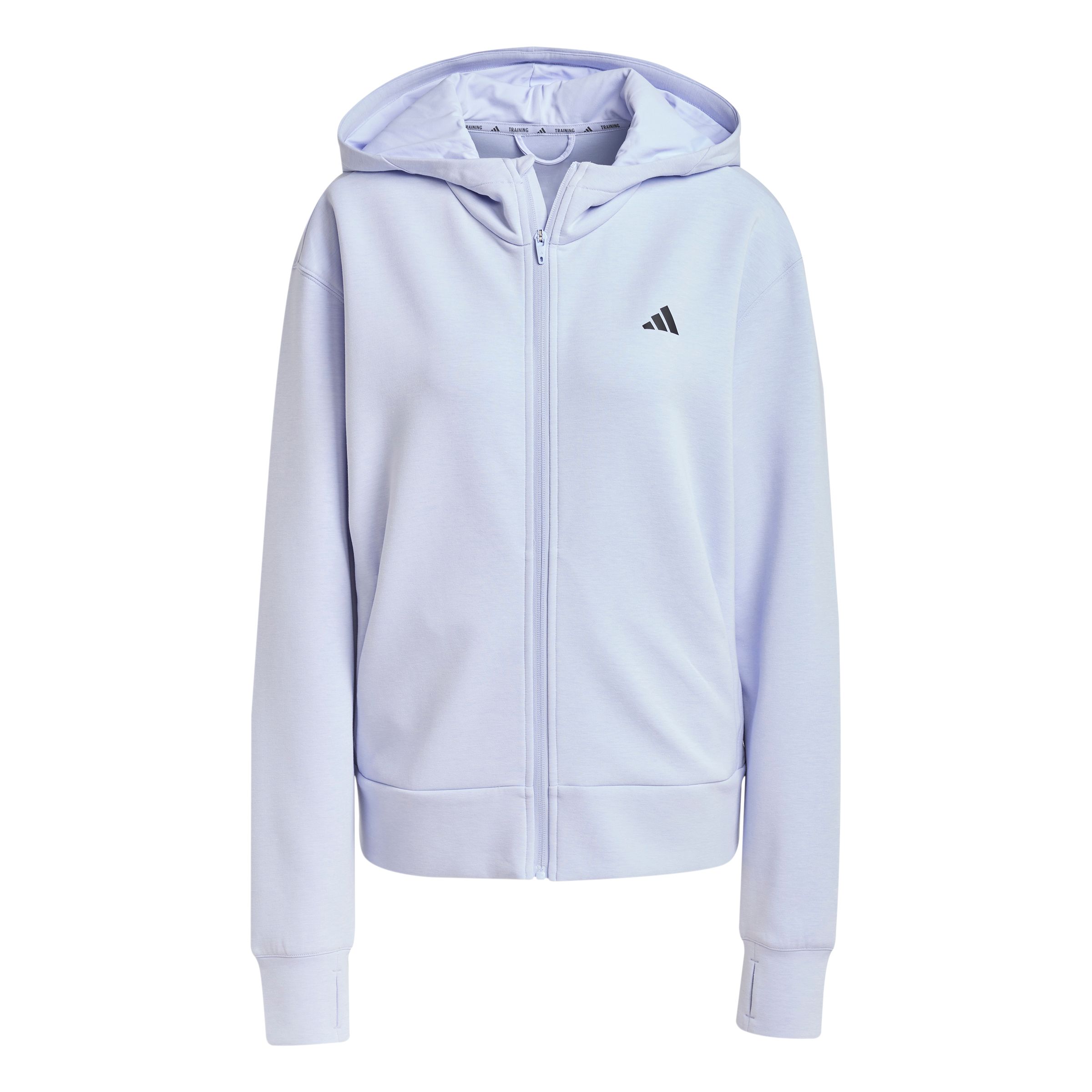 トップス ADIDAS SKATEBOARDING ALLTIMERS HOODIE Adidas Skateboarding x Alltimers Hoodie (Mesa / Blue) DJ3570