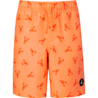 Ripzone Boys' Raith Printed Swim Trunks Front_Flat