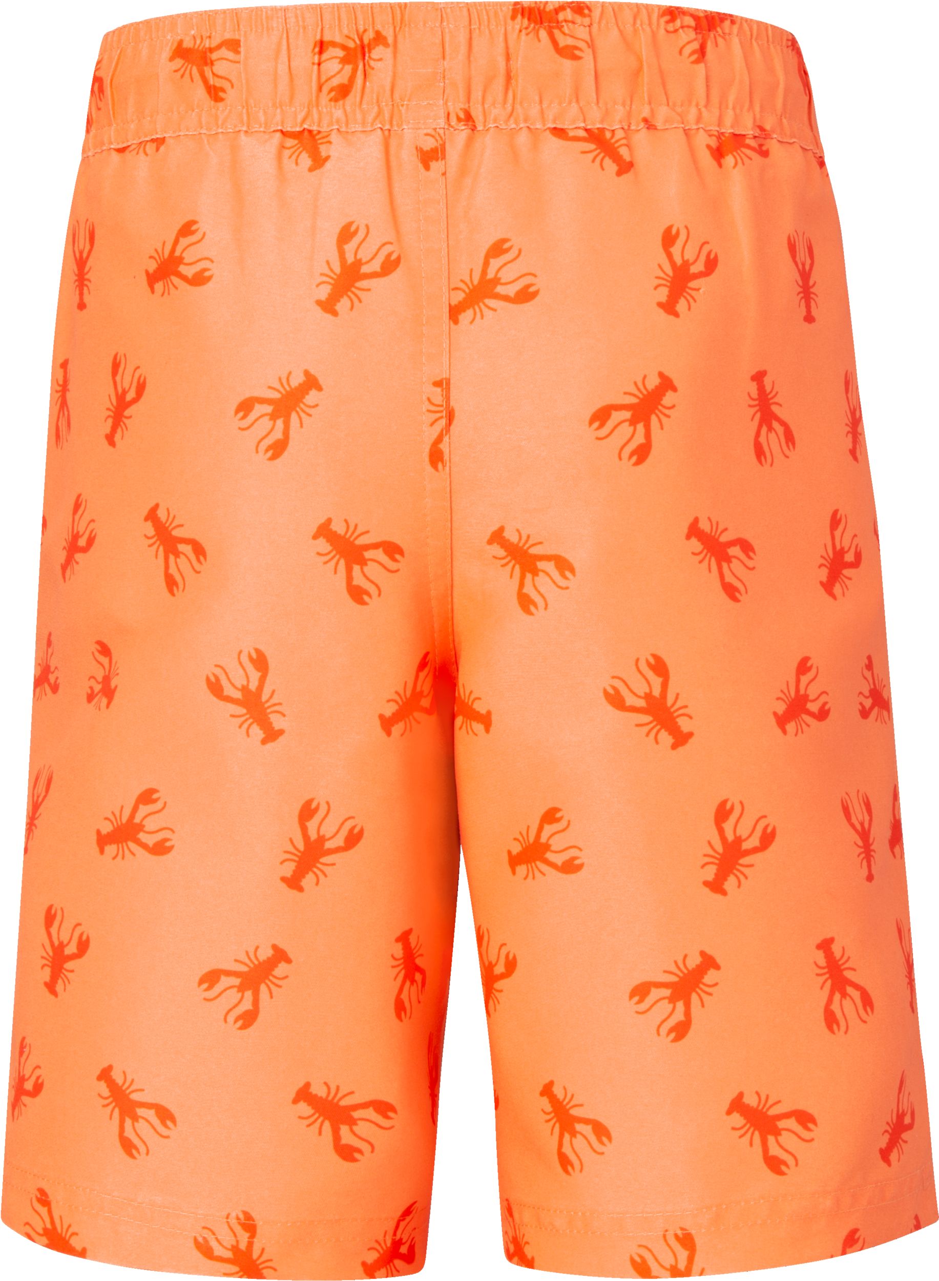 Ripzone Boys' Raith Printed Swim Trunks