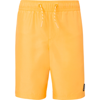 Ripzone Boys' Surge Shorts Front_Flat