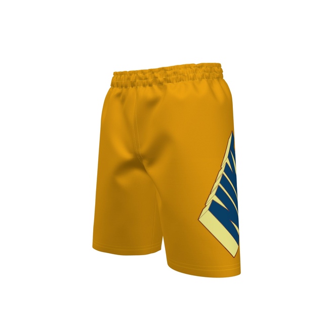 Nike Kids' Logo Breaker 7-inch Volley Shorts