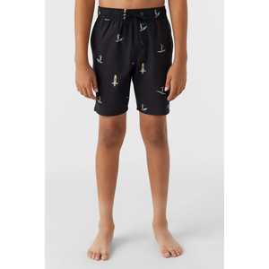 O'Neill Boys' Hermosa 16 Inch Boardshorts