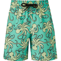 Ripzone Boys' Terrance Swim Shorts