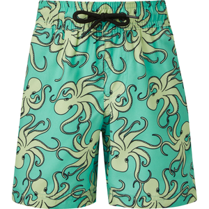 Ripzone Boys' Terrance Swim Shorts