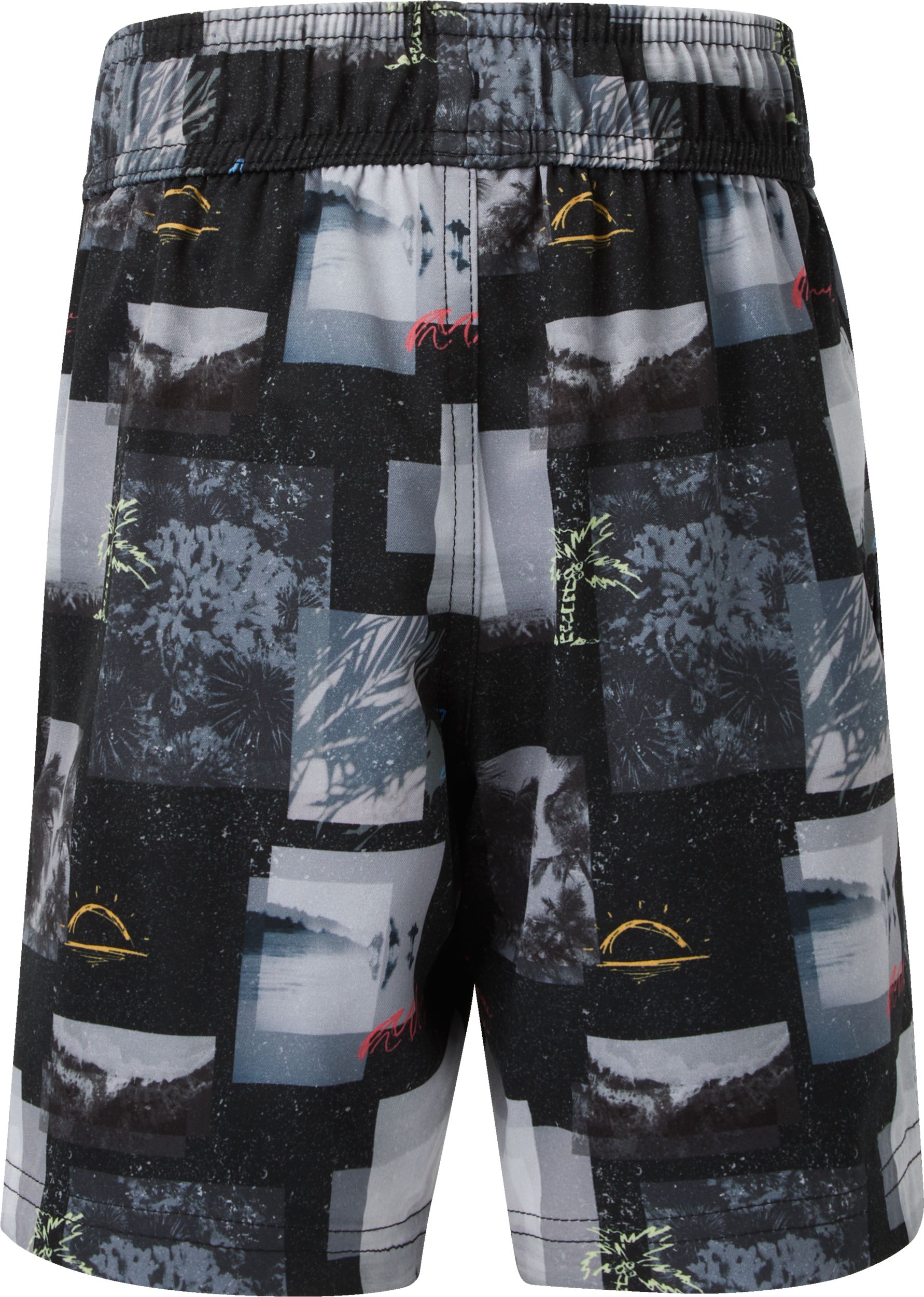 Ripzone Boys' Raith 3.0 Printed Volley Shorts