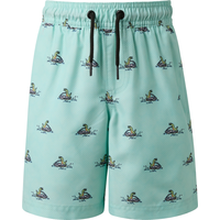 Ripzone Boys' Terrance Swim Shorts Front_Flat