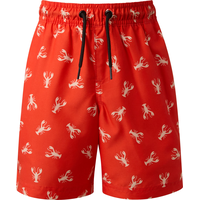 Ripzone Boys' Terrance Swim Shorts