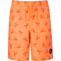 Ripzone Kids' Raith UPF 40 Swim Trunks Front_Flat