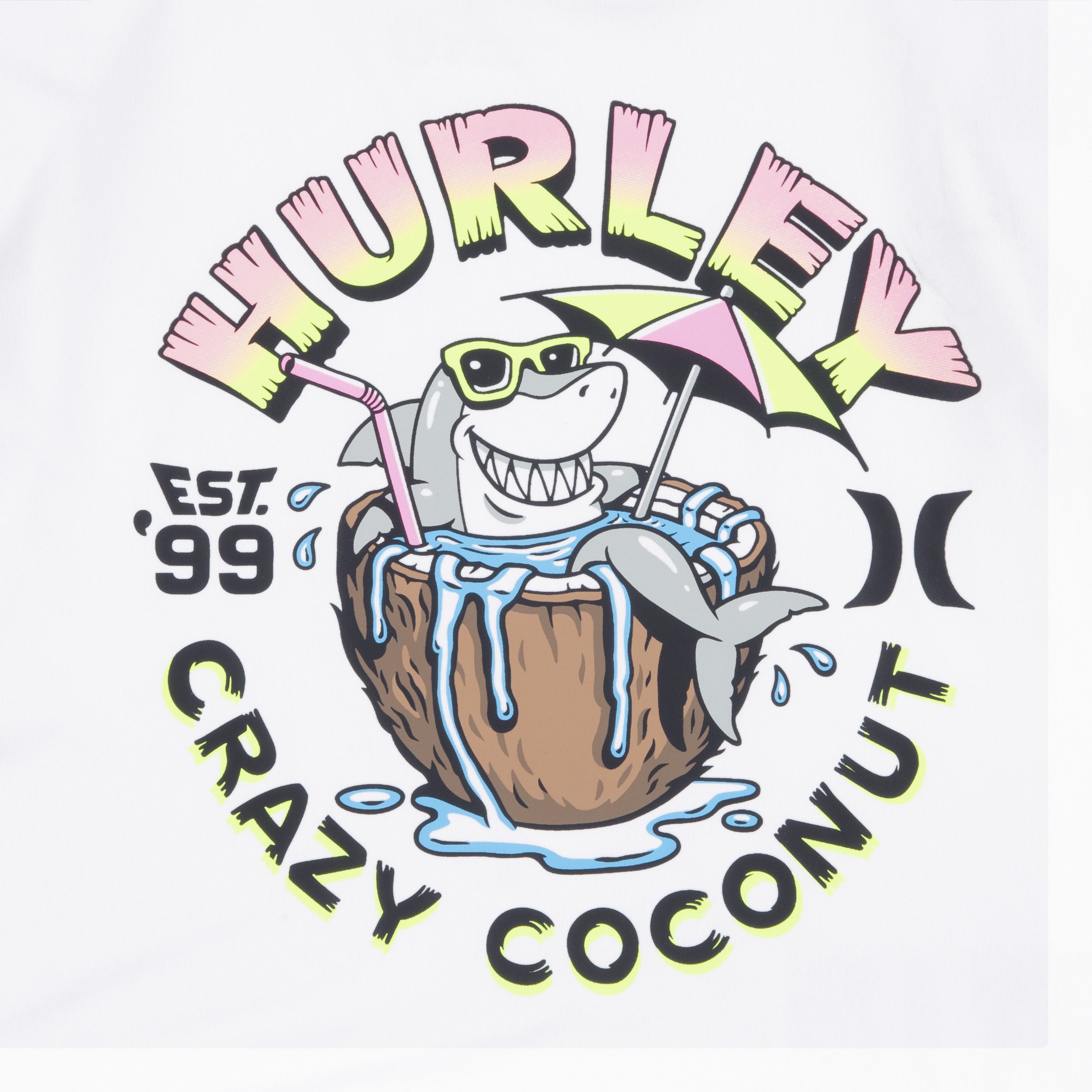 Hurley Kids' UPF 50+ T Shirt and Swim Trunk Set