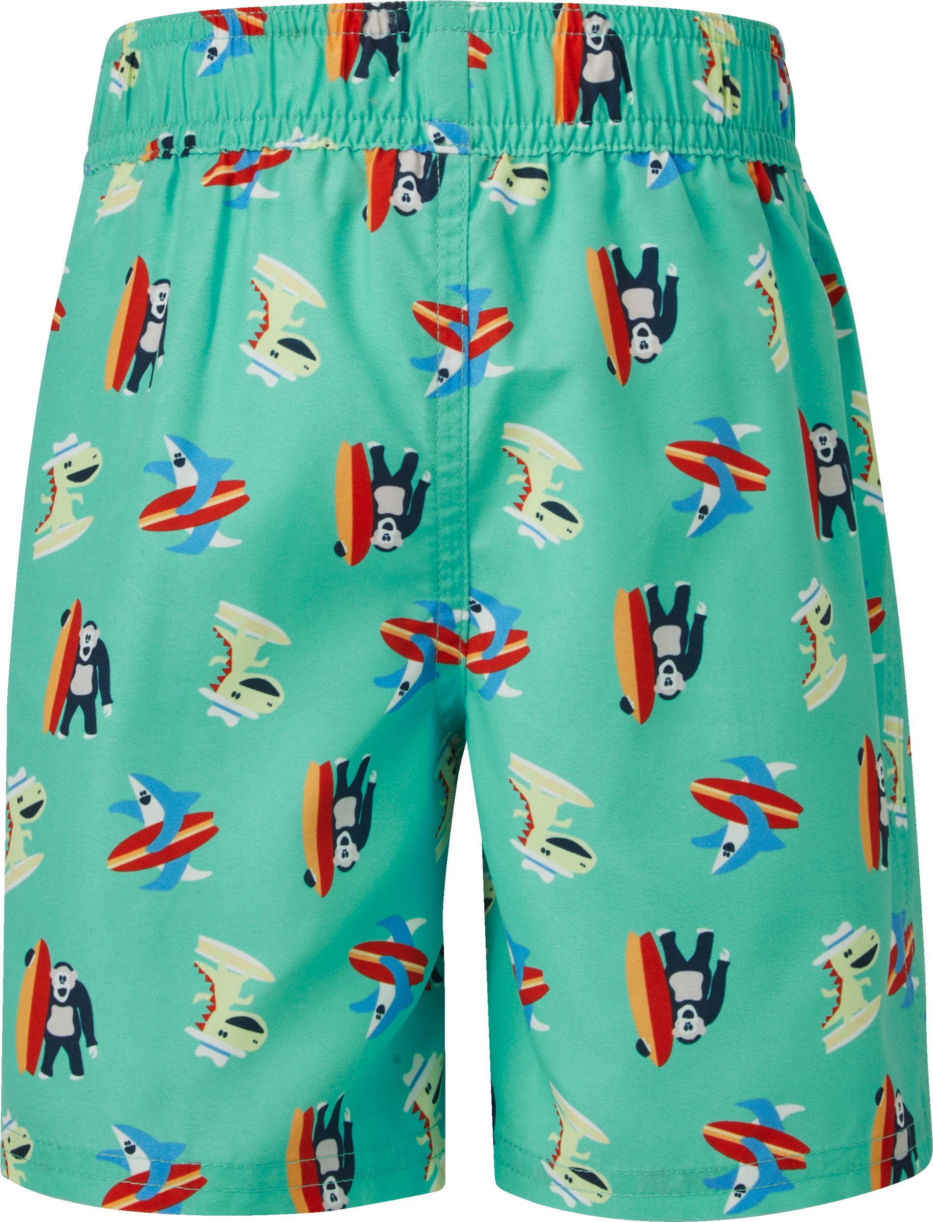 Ripzone Toddler's Raith 3.0 Swim Trunks Back_Flat