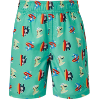 Ripzone Toddler's Raith 3.0 Swim Trunks Back_Flat