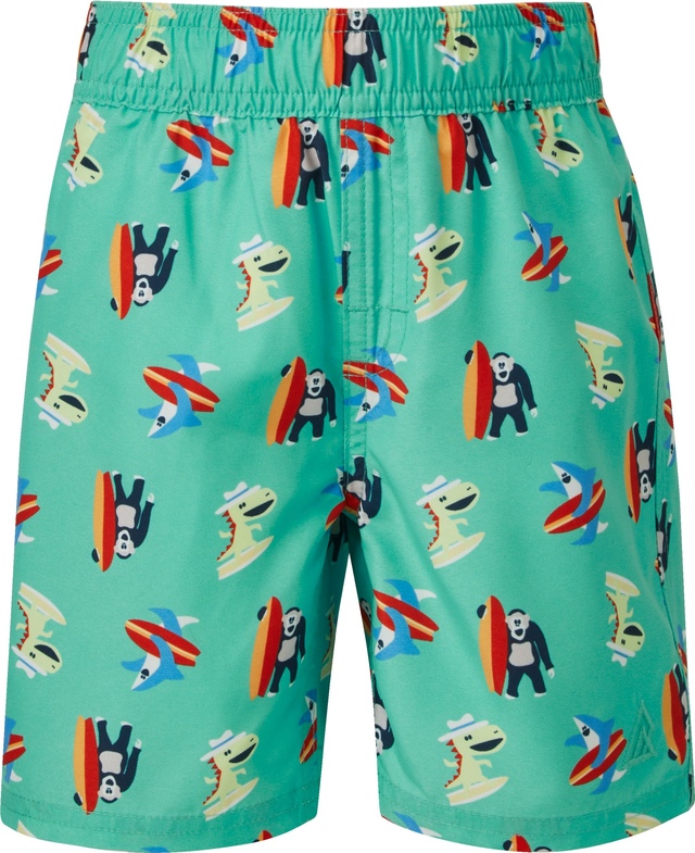 Ripzone Toddler's Raith 3.0 Swim Trunks Back_Flat