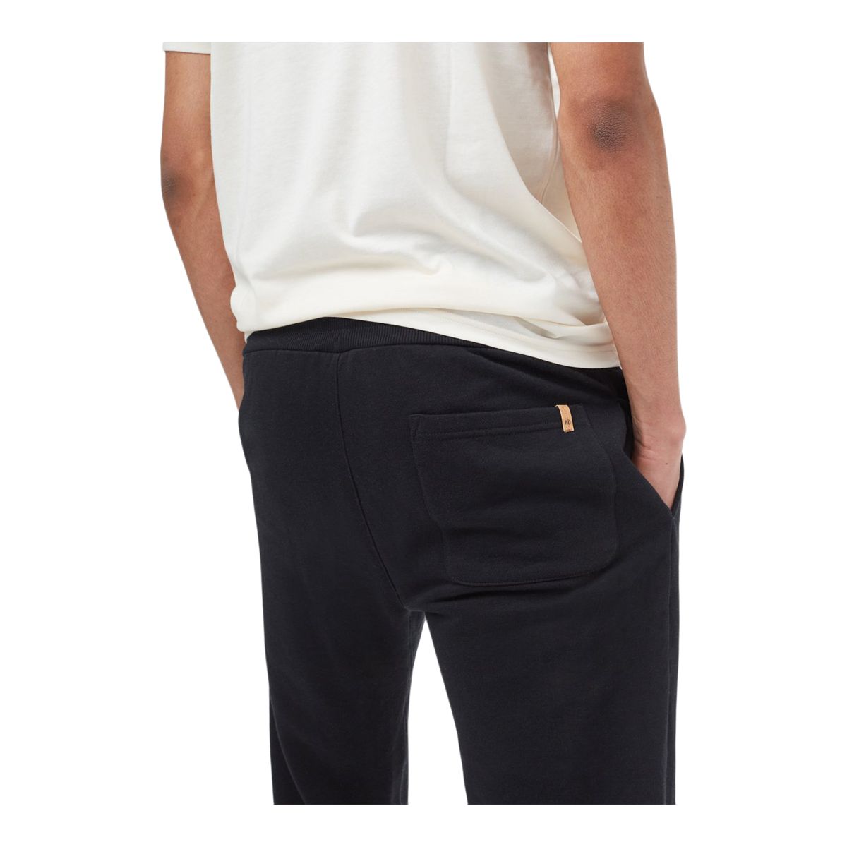 Tentree Men's Treefleece Atlas Sweatpants