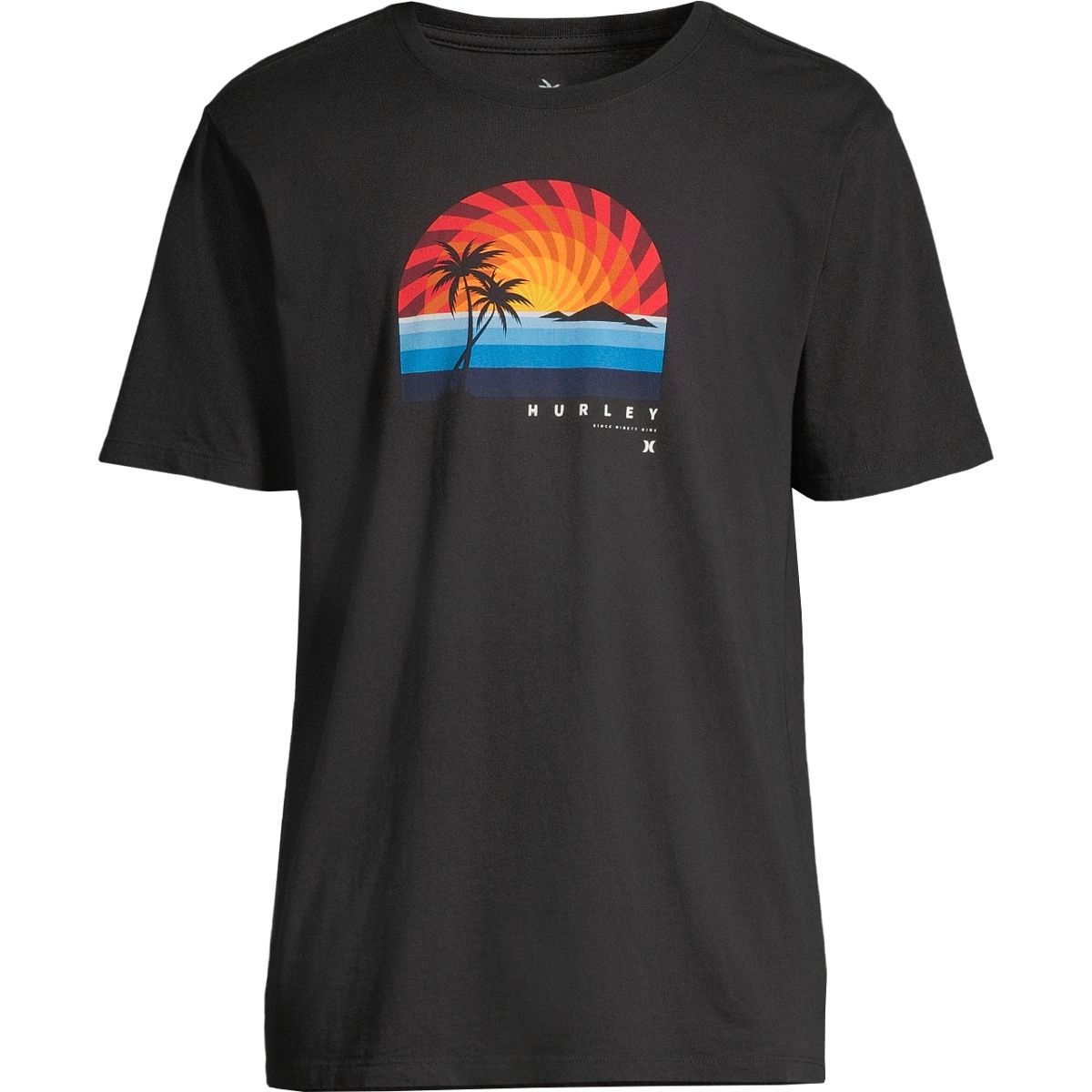 Hurley Men's Everyday Washed Swirlset T Shirt, Short Sleeve, Crew Neck, Cotton, Graphic