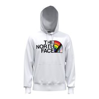 The North Face Men's Pride Recycled Pullover Hoodie, Cotton Blend, Kangaroo Pocket Front_Flat