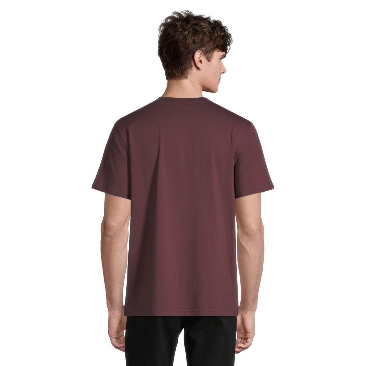 Ripzone Men's Arthur T Shirt