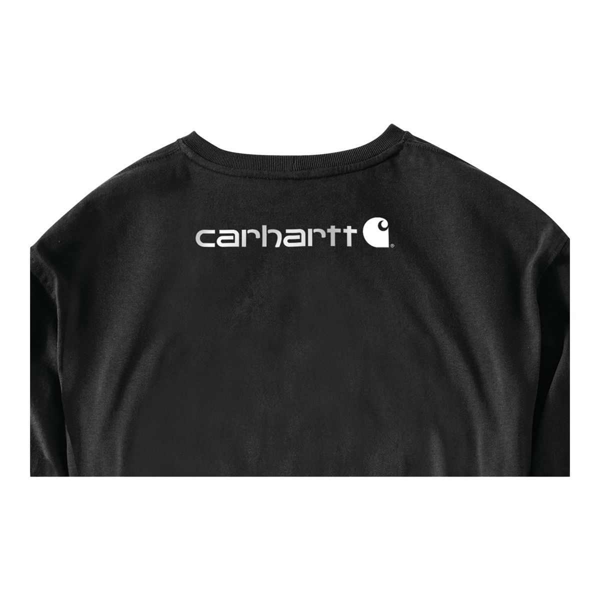 Carhartt Men's Loose Fit Sleeve Logo Long Sleeve Graphic T