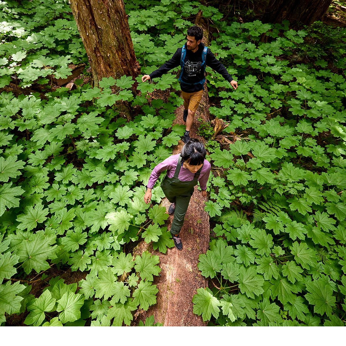 Woods Men's Lawson Gear Hoodie