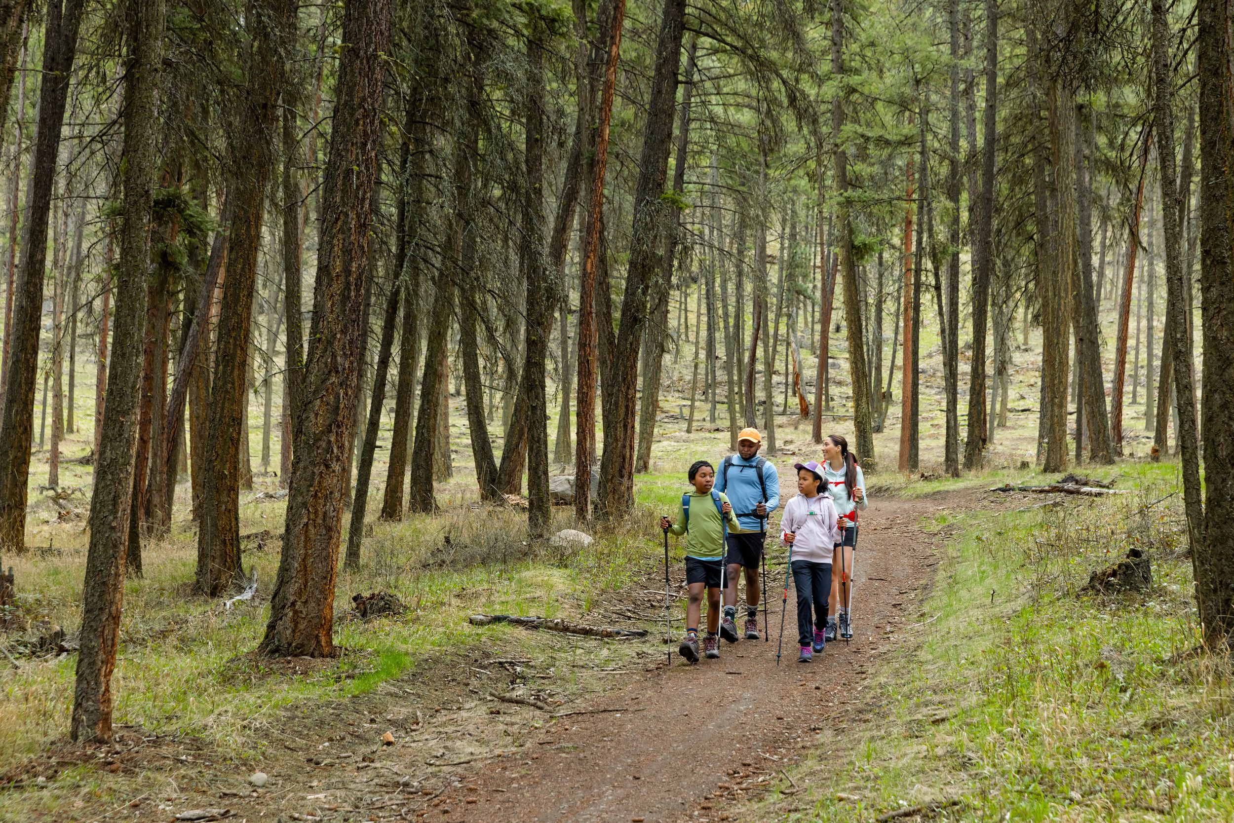 Woods Women's Maxwell 2.0 Stretch Shorts
