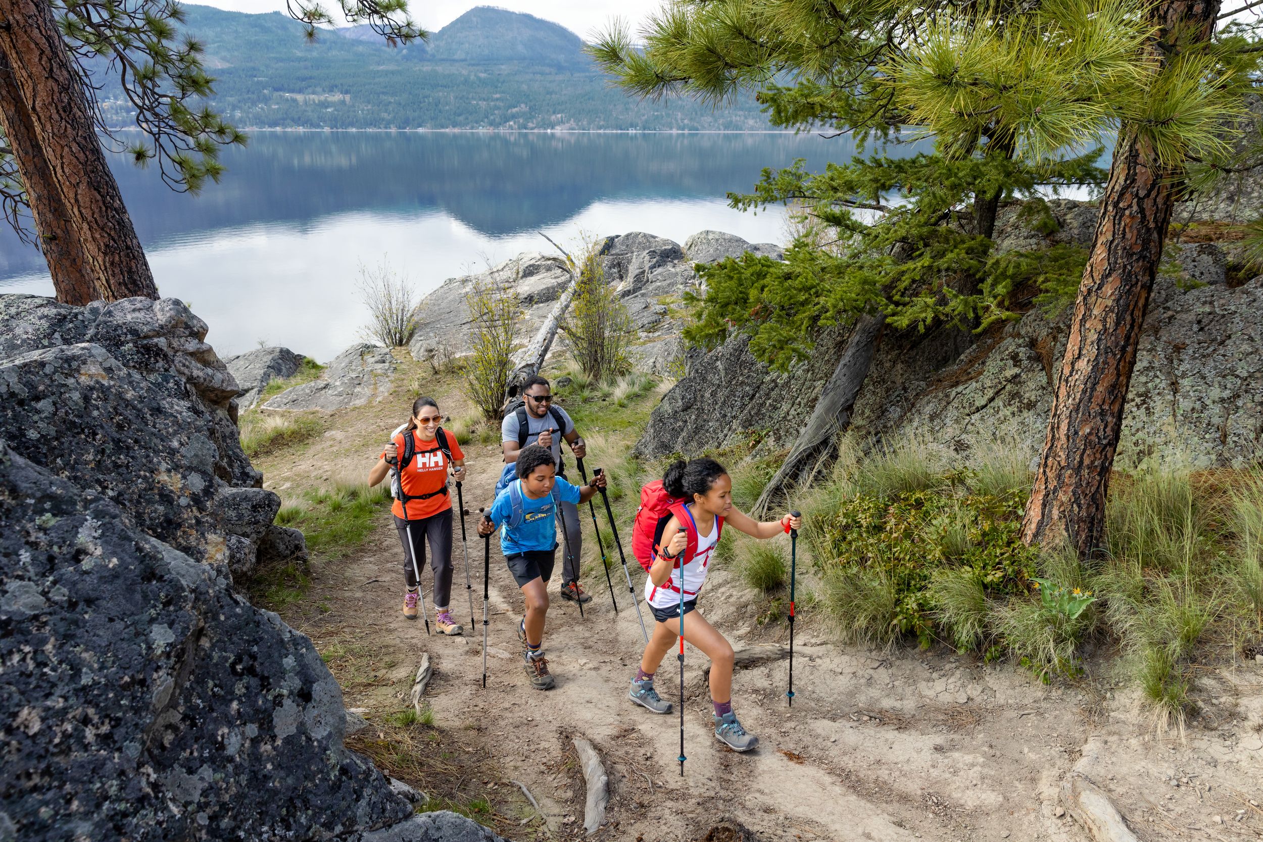 Komperdell Carbon C3 Pro Trekking Poles