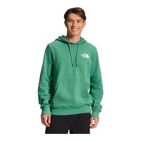 The North Face Men's Box NSE Hoodie Front_Flat