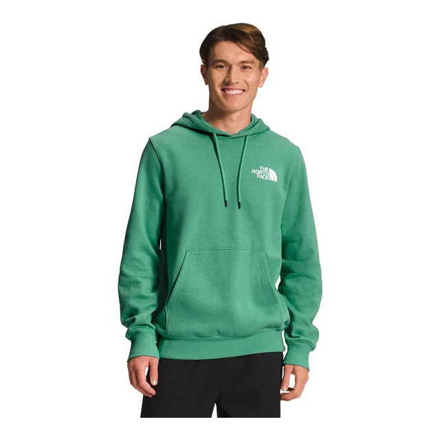 The North Face Men's Box NSE Hoodie