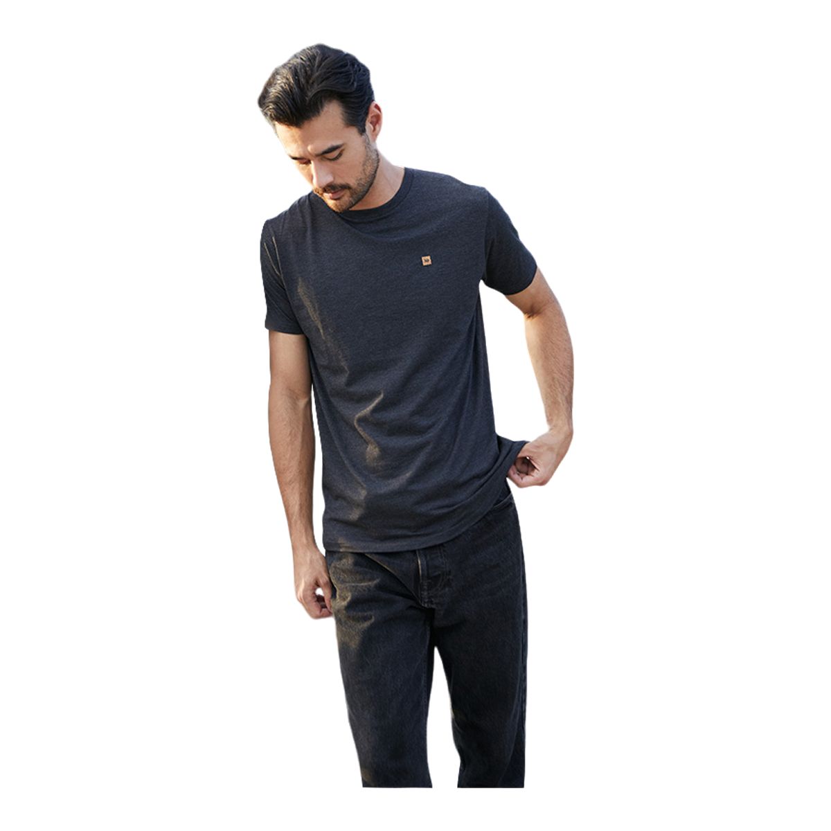 tentree Men's TreeBlend Classic T Shirt