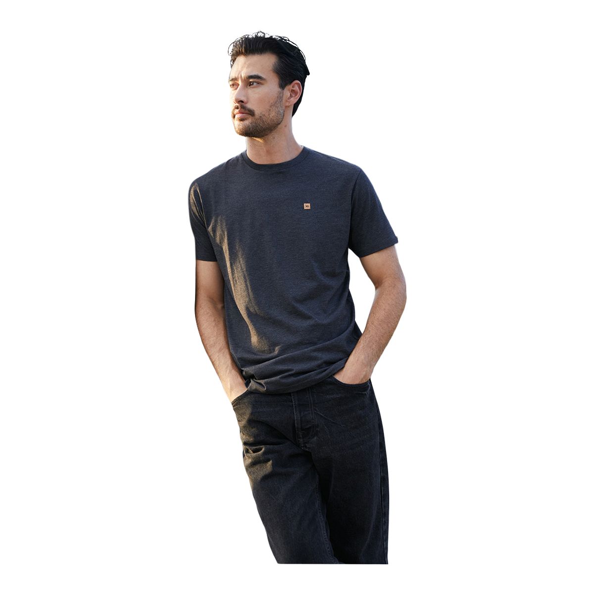 tentree Men's TreeBlend Classic T Shirt