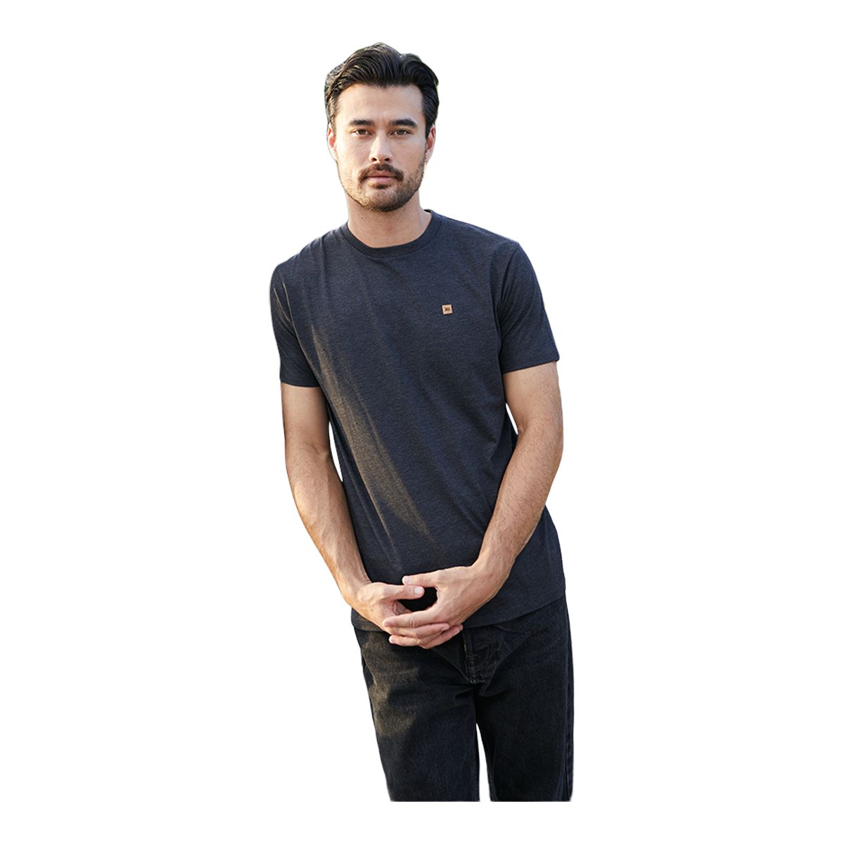 tentree Men's TreeBlend Classic T Shirt