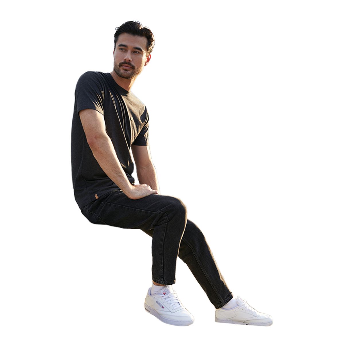 tentree Men's TreeBlend Classic T Shirt