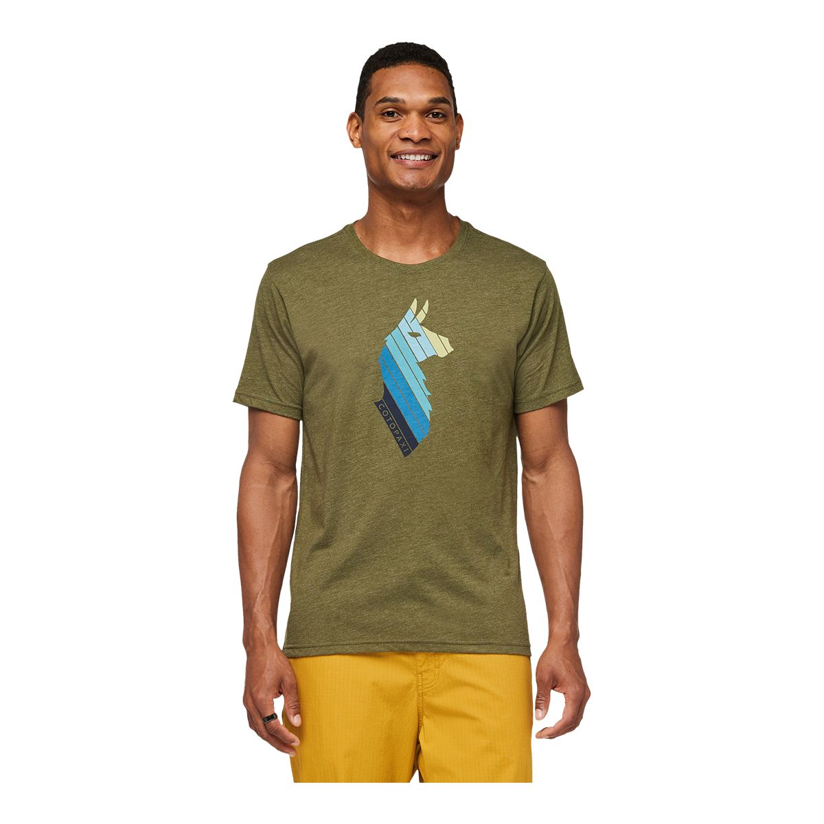 Cotopaxi Men's Llama Stripes Organic T Shirt