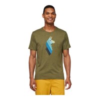Cotopaxi Men's Llama Stripes Organic T Shirt Front_Flat