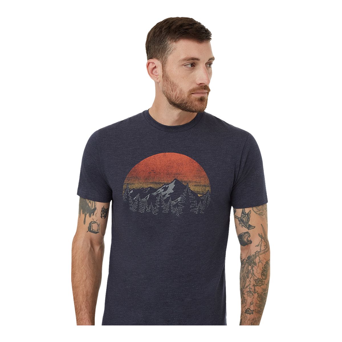 Tentree Men's Vintage Sunset T-Shirt