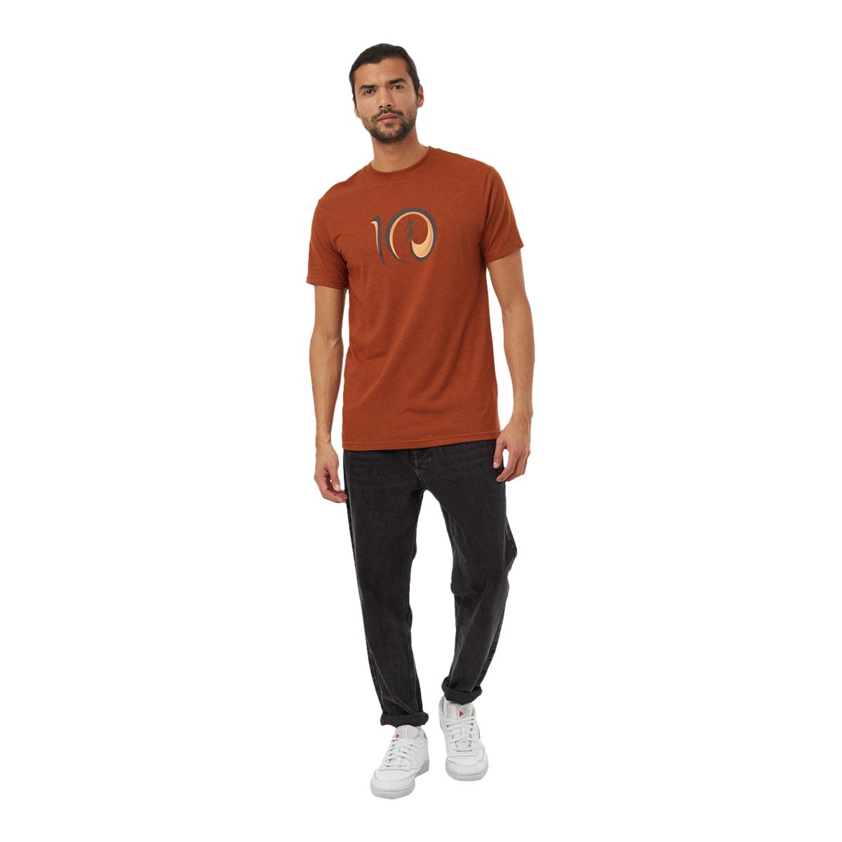 Tentree Men's Artist Series Logo T Shirt