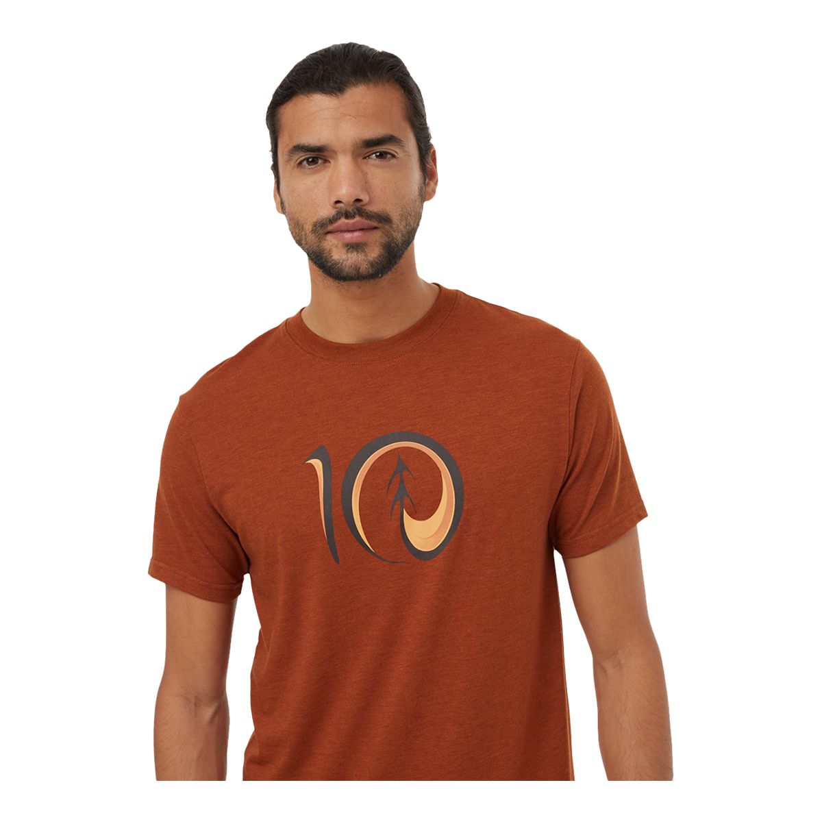 Tentree Men's Artist Series Logo T Shirt