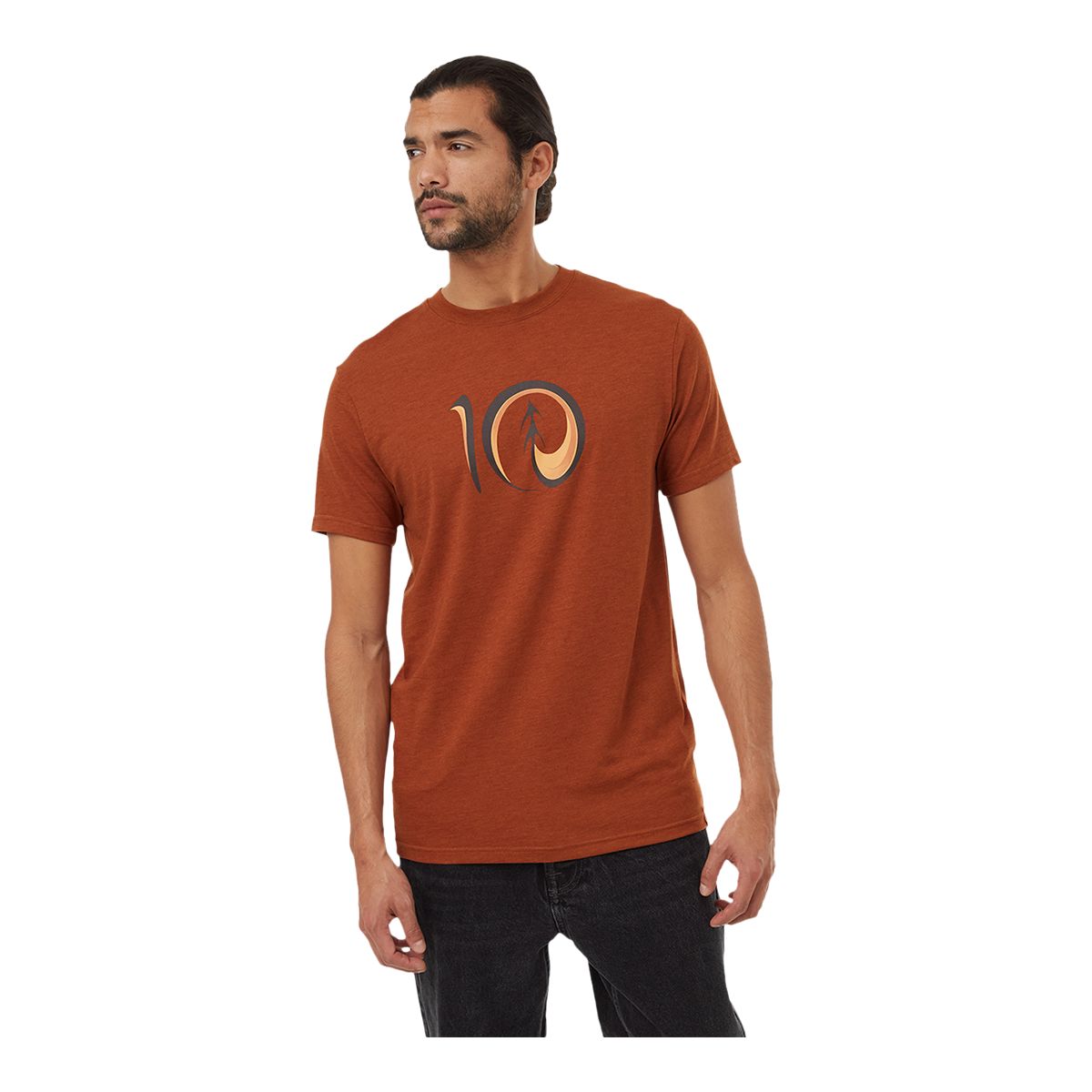 Tentree Men's Artist Series Logo T Shirt