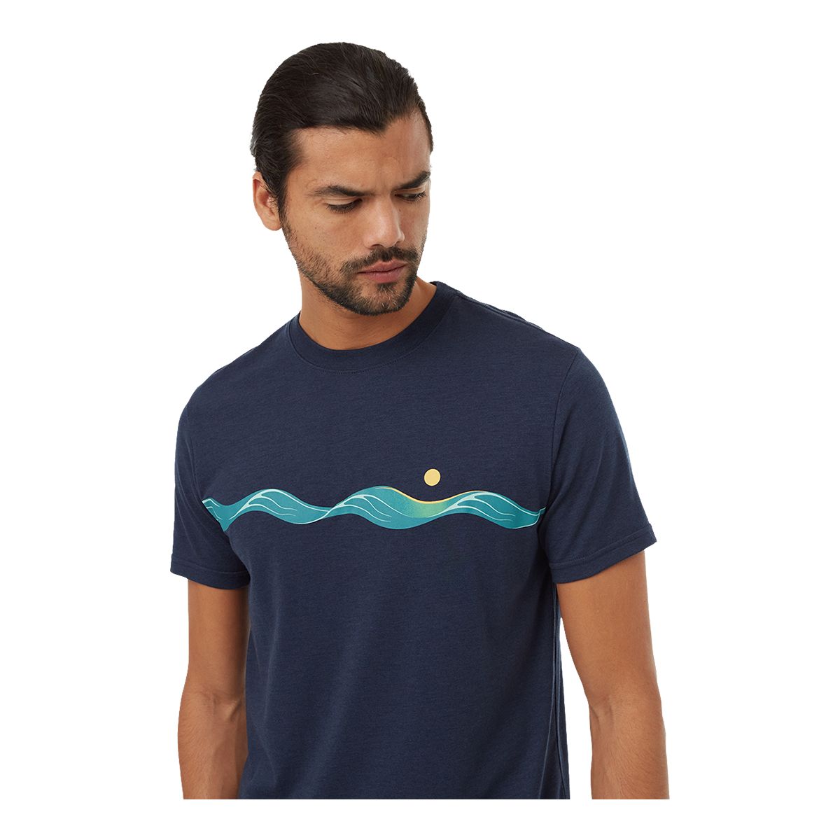 tentree Men's Artist Waves T shirt