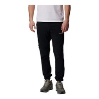 Columbia Men's Triple Canyon™ 2 Pants Front_Flat