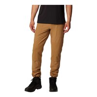 Columbia Men's Landroamer Utility Pants Front_Flat
