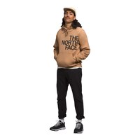 The North Face Men's Brand Proud Hoodie Front_Three_Fourths_Angled_Left